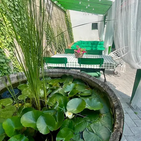 Ladislaus Schnaps-haus Falusi Vendeghaz Guest house *