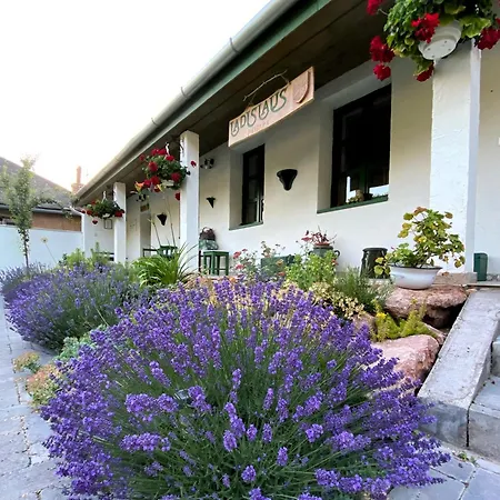 Ladislaus Schnaps-haus Falusi Vendeghaz Guest house *